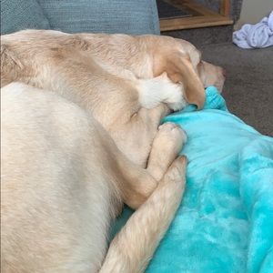 Meet your Posher, Cary